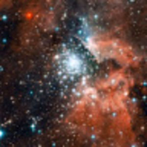 Meet your Posher, Al